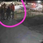 देहरादून में वीआईपी कल्चर की दबंगई एक बार फिर उजागर, पूर्व विधायक कुंवर प्रणव सिंह चैंपियन के बेटे दिव्य प्रताप सिंह ने दिखाई दबंगई, पूर्व मुख्य सचिव के बेटे के साथ की मारपीट, मुकदमा दर्ज