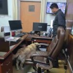 पासपोर्ट ऑफिस में धमाकों की धमकी पर दून पुलिस की त्वरित कार्यवाही, बी०डी०एस० तथा डॉग स्क्वाड के साथ सम्पूर्ण परिसर में चलाया सर्चिंग अभियान