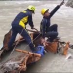 हेलंग के पास दर्दनाक सड़क हादसा, अलकनंदा में समाया ट्रक, चालक की मौत