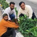 हरित दून का महाअभियान, एक लाख पौधों से एमडीडीए बदलेगा देहरादून की तस्वीर