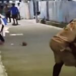 गाली-गलौज और मारपीट से परेशान कॉलोनी वासियों ने खोला मोर्चा, सुरक्षा की मांग को लेकर किया प्रदर्शन