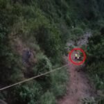 विकासनगर के त्यूणी में भीषण हादसा, 300 मीटर गहरी खाई में गिरी कार, 1 की मौत, दो लोग घायल