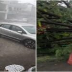 हरिद्वार में पड़े ओले, गाड़ियों के शीशे टूटे, रामनगर में विशालकाय पेड़ धड़ाम